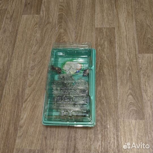Улитки Ахатины ретикулята