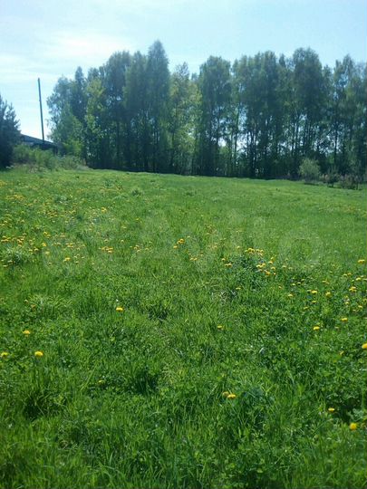 Участок 18 сот. (ИЖС)