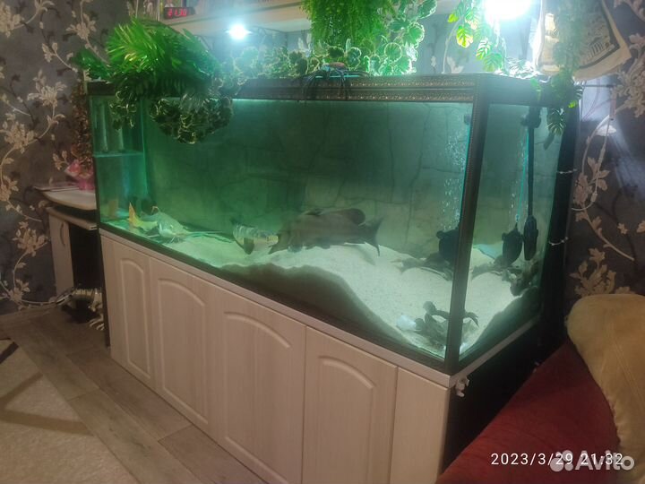 Продам аквариум