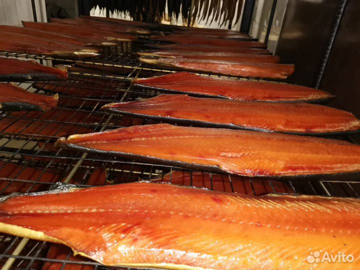 Рыба холодного копчения