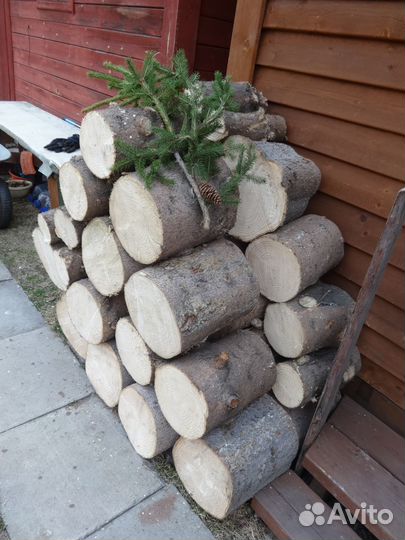 Пеньки (чурки) сосновые