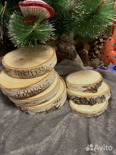 Спилы дерева (береза)