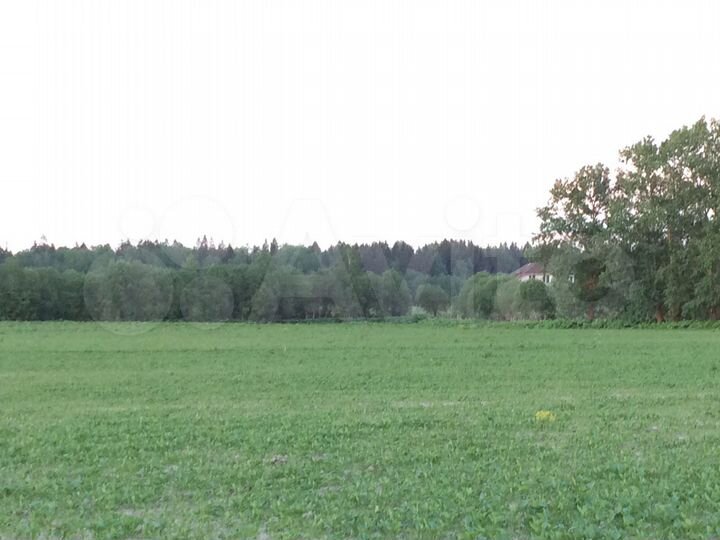 Участок 6 сот. (ИЖС)