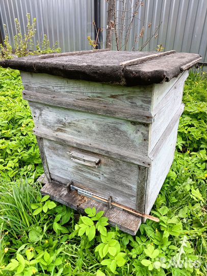 Улей с пчелами