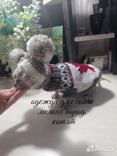 Одежда для собак и кошек