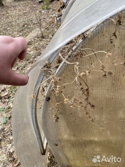 Парник, теплица