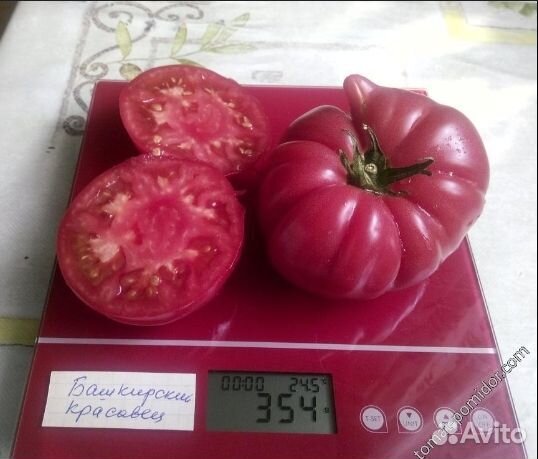 Семена сладкого томата Башкирский красавец