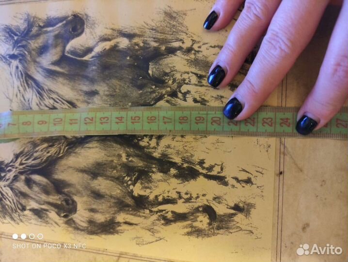 Рисунок Кони бегущие