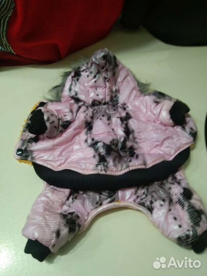 Одежда для животных