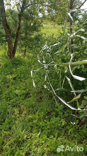 Лента отпугивающая птиц