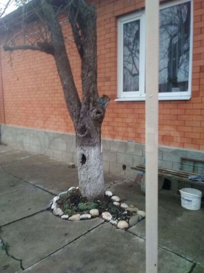 Дом 125 м² на участке 9 сот.