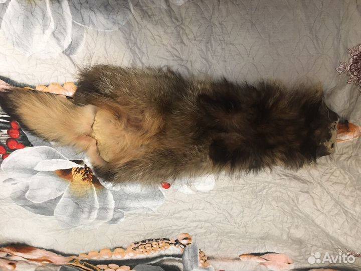 Шкурка животного