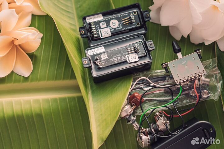 Seymour Duncan AHB-1 Blackouts Set