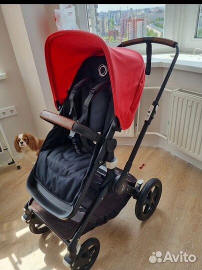 Коляска bugaboo fox 2 в 1