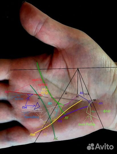 Хиромант, гадание по фото онлайн, большой опыт