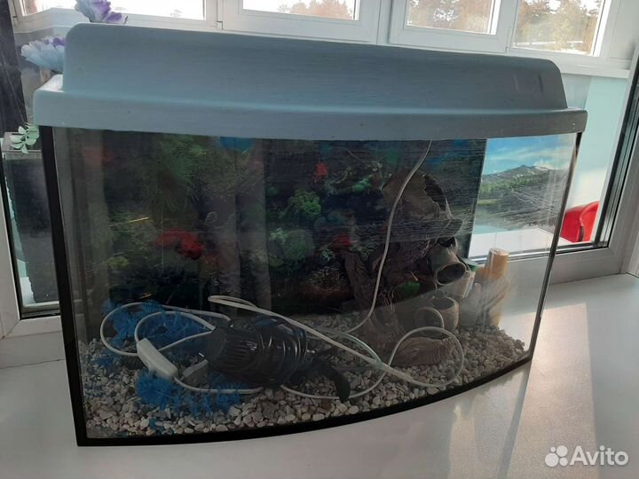 Аквариум и аксессуары