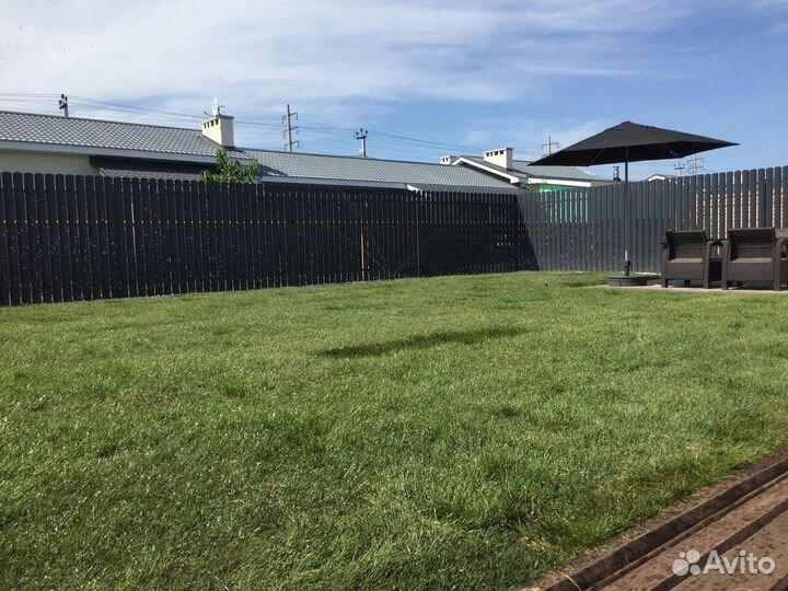 Газон рулонный с укладкой от производителя