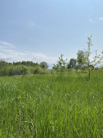 Участок 25 сот. (ИЖС)