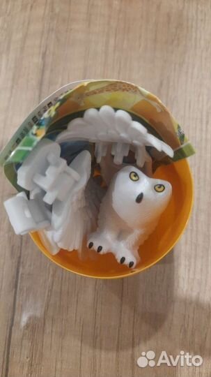 Киндер макси натунс