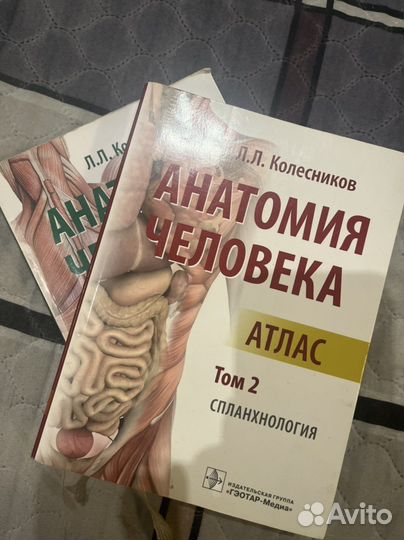 Атлас анатомии человека Л.Л. Колесников