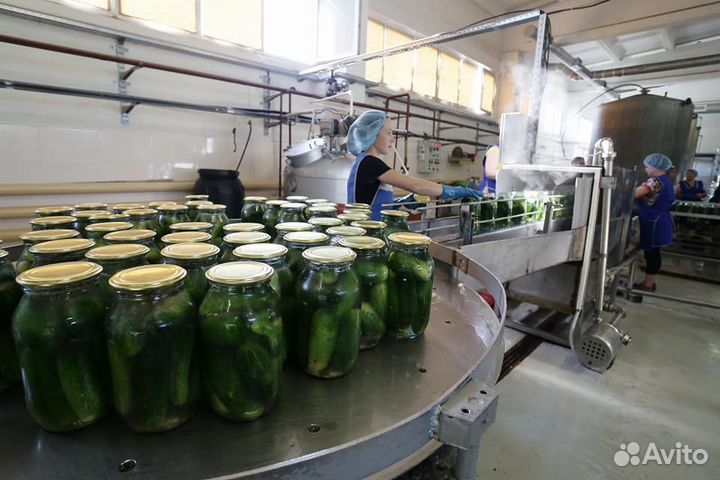 Оператор на линии (3-х разовое питание) вахта