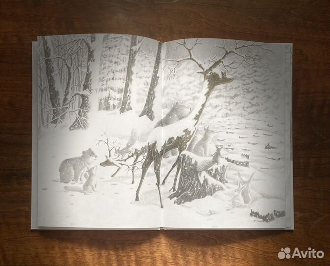 Книга Снежный олень, Поляндрия