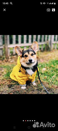 Куртка дождевик для собак