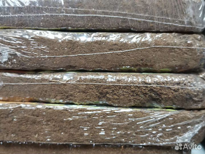 Кокосовый субстрат