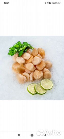 Филе морского гребешка