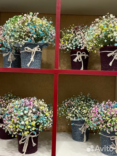 Гипсофила живые цветы подарок композиции