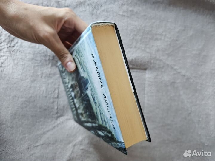 Книга Бегущий в лабиринте