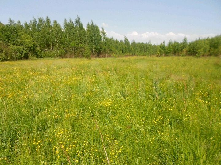 Участок 10 сот. (ИЖС)