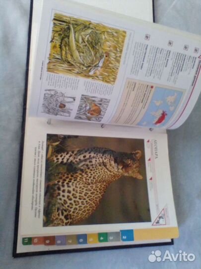 Энциклопедия перекидная