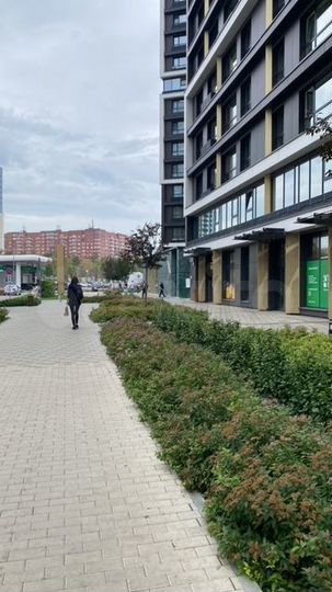 Свободного назначения, 220 м²