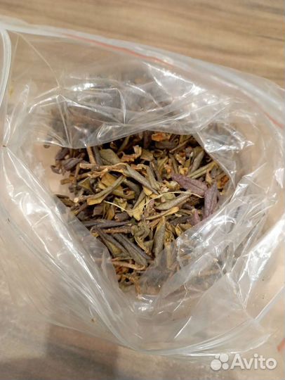 Трава Саган дайля