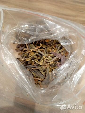 Трава Саган дайля