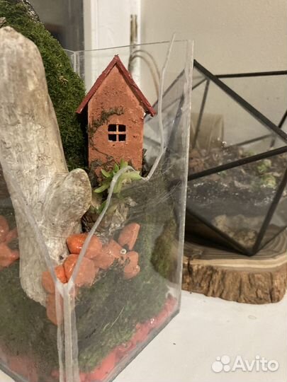 Флорариум с композицией