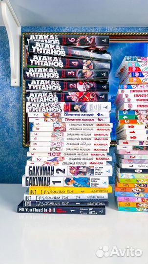 Продажа манги, аниме и фигурок (6)