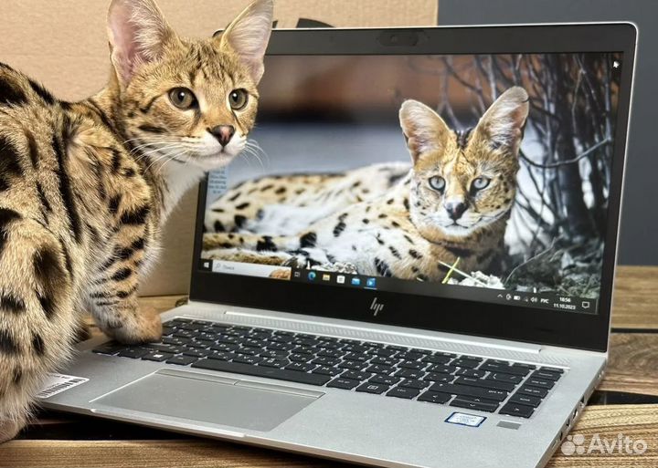 Ноутбуки HP elitebook Probook Большой Выбор