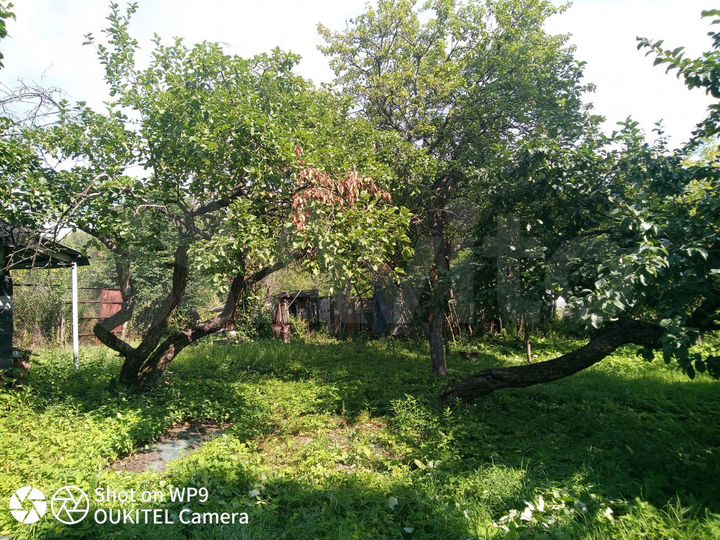 Участок 7 сот. (СНТ, ДНП)