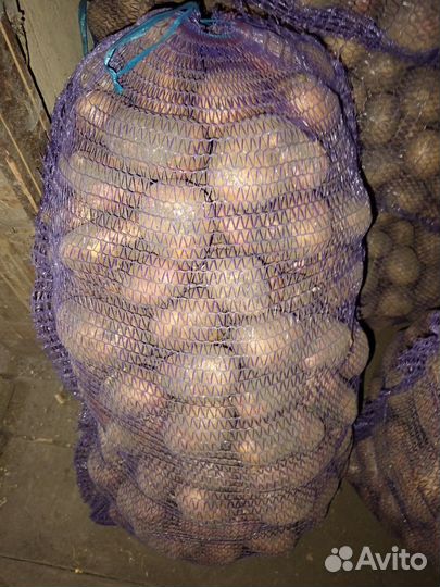 Продам картошку