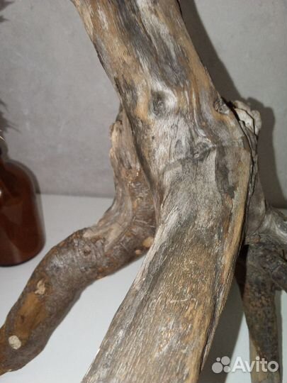 Коряга дрифтвуд для творчества