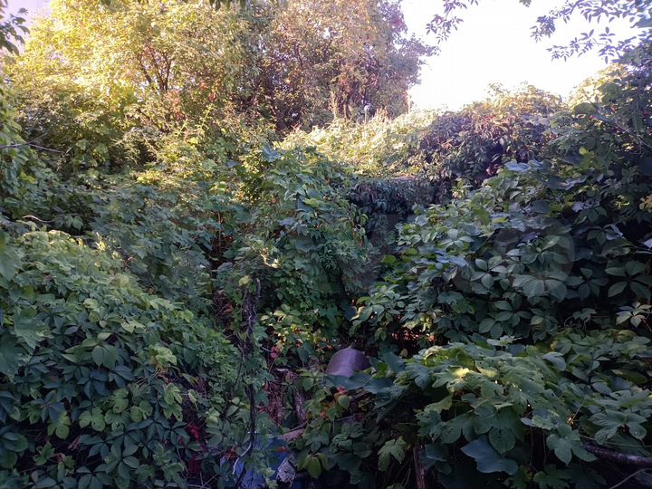 Участок 6,4 сот. (СНТ, ДНП)