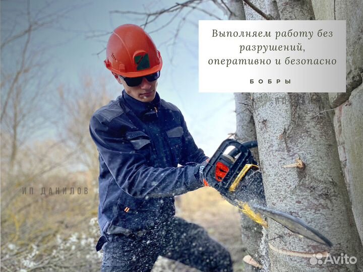 Расчистка участка от деревьев, под строительство