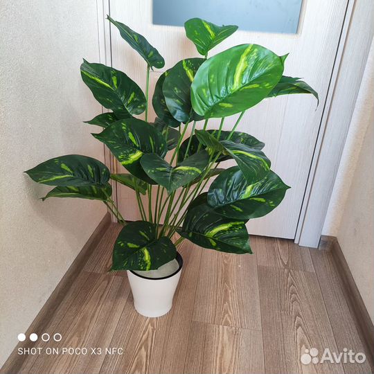Искусственное растение,диффенбахия искусственная