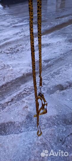 Набор для кошек