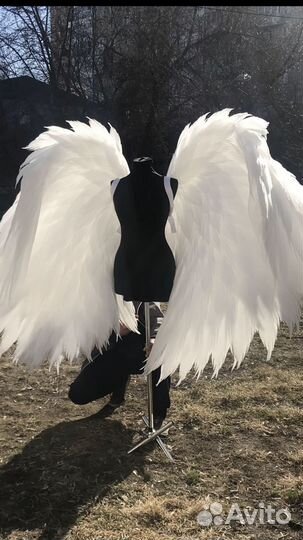 Крылья ангела белые