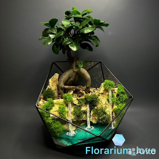 Флорариум бонсай