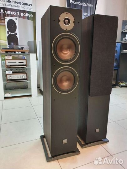 Dali Oberon 7