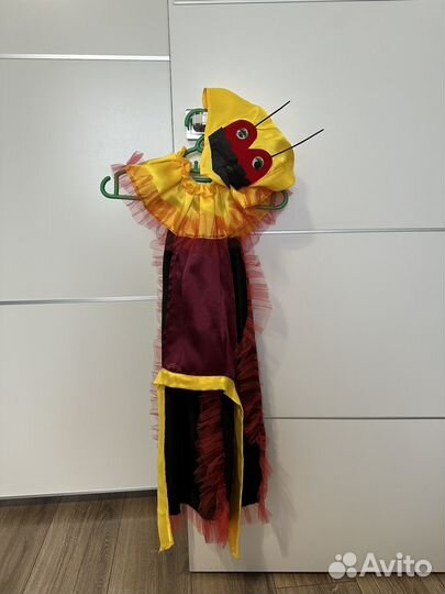 Костюм жука, божьей коровки